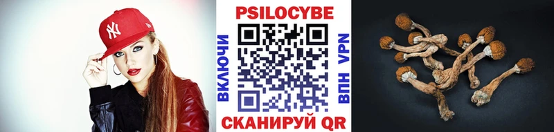 Псилоцибиновые грибы Cubensis  Кувандык 